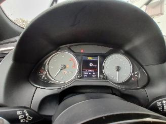 Audi SQ5 SQ5 (8RB) SUV 3.0 TDI V6 24V (CVUC) [230kW]  (12-2012/11-2015) picture 35