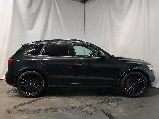 Audi SQ5 SQ5 (8RB) SUV 3.0 TDI V6 24V (CVUC) [230kW]  (12-2012/11-2015) picture 7