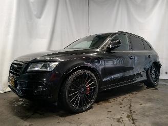 Audi SQ5 SQ5 (8RB) SUV 3.0 TDI V6 24V (CVUC) [230kW]  (12-2012/11-2015) picture 3