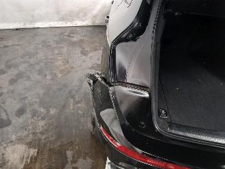 Audi SQ5 SQ5 (8RB) SUV 3.0 TDI V6 24V (CVUC) [230kW]  (12-2012/11-2015) picture 29