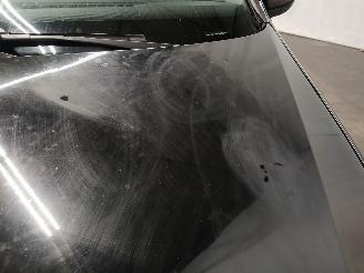 Volkswagen Polo Polo V (6R) Hatchback 1.2 TDI 12V BlueMotion (CFWA(Euro 5)) [55kW]  (1=
0-2009/05-2014) picture 21