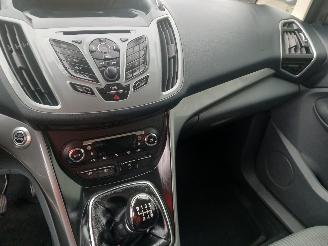 Ford C-Max C-Max (DXA) MPV 1.0 Ti-VCT EcoBoost 12V 125 (M1DA(Euro 5)) [92kW]  (10=
-2012/06-2019) picture 15