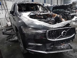 Volvo Xc-60 XC60 II (UZ) SUV 2.0 T6 16V Recharge, Twin Engine AWD (B4204T52) [257k=
W]  (01-2022/...) picture 2