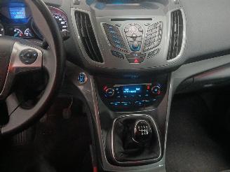 Ford Grand C-Max Grand C-Max (DXA) MPV 1.0 Ti-VCT EcoBoost 12V 125 (M1DA(Euro 5)) [92kW=
]  (10-2012/06-2019) picture 16