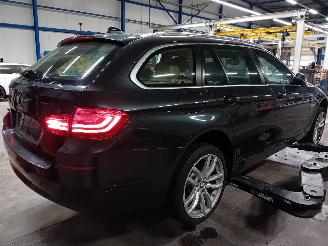 BMW 5-serie 5 serie Touring (F11) Combi 525d xDrive 16V (N47-D20D) [160kW]  (07-20=
13/02-2017) picture 3