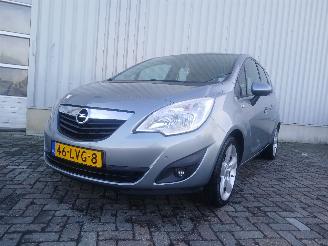  Opel Meriva Meriva MPV 1.4 16V Ecotec (A14XER(Euro 5)) [74kW]  (06-2010/03-2017) 2010/6