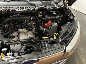 Ford EcoSport EcoSport (JK8) SUV 1.0 EcoBoost 12V 125 (M1JJ) [92kW]  (10-2013/...) picture 26