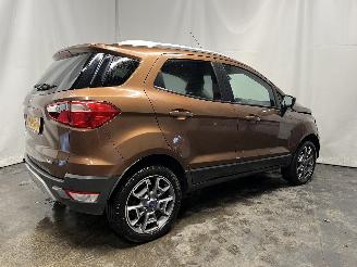 Ford EcoSport EcoSport (JK8) SUV 1.0 EcoBoost 12V 125 (M1JJ) [92kW]  (10-2013/...) picture 6