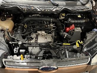 Ford EcoSport EcoSport (JK8) SUV 1.0 EcoBoost 12V 125 (M1JJ) [92kW]  (10-2013/...) picture 27