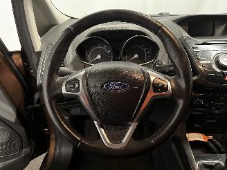 Ford EcoSport EcoSport (JK8) SUV 1.0 EcoBoost 12V 125 (M1JJ) [92kW]  (10-2013/...) picture 21