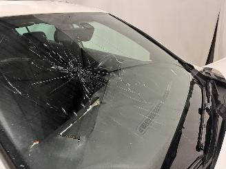 Volkswagen Golf Golf VI (5K1) Hatchback 2.0 TSI R 16V 4Motion (CDLF) [199kW]  (11-2009=
/03-2013) picture 31