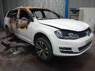 Volkswagen Golf Golf VII Variant (AUVV) Combi 1.6 TDI BlueMotion 16V (CRKB) [81kW]  (0=
5-2013/12-2020) picture 2