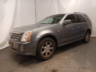 Cadillac SRX SRX SUV 4.6 V8 32V AWD (LH2) [239kW]  (07-2004/06-2009) picture 3
