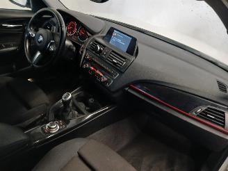 BMW 1-serie 1 serie (F20) Hatchback 5-drs 116i 1.6 16V (N13-B16A) [100kW]  (07-201=
1/02-2015) picture 8