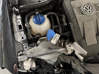 Volkswagen Golf Golf VI (5K1) Hatchback 1.6 TDI 16V (CAYC(Euro 5)) [77kW]  (02-2009/11=
-2012) picture 12