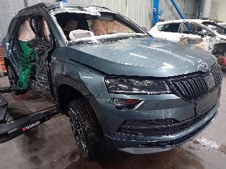 Skoda Karoq Karoq SUV 1.5 TSI 16V (DXDB) [110kW]  (07-2017/...) picture 2