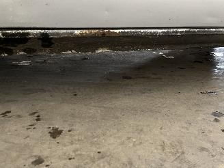 Renault Kangoo Kangoo (KC) MPV 1.6 16V (K4M-752) [70kW]  (06-2001/01-2008) picture 20