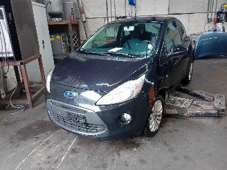 Salvage car Ford Ka Ka II Hatchback 1.2 (169.A.4000(Euro 4; Euro 5)) [51kW]  (10-2008/05-2=
016) 1980