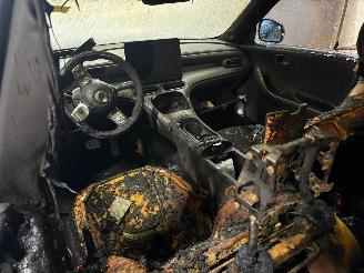 Smart  #1 SUV Brabus, Pulse (TZ180XSB01) [315kW]  (06-2022/...) picture 5