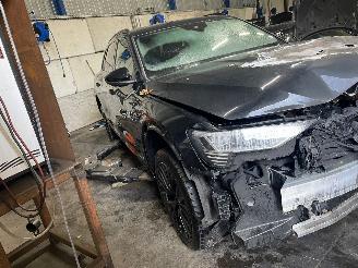 Audi Q8 Q8 E-tron (GEG) SUV 55 Quattro 115 kWh (EDEA) [300kW]  (11-2022/...) picture 2