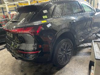 Audi Q8 Q8 E-tron (GEG) SUV 55 Quattro 115 kWh (EDEA) [300kW]  (11-2022/...) picture 3