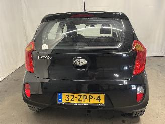 Kia Picanto Picanto (TA) Hatchback 1.0 12V (G3LA) [51kW]  (05-2011/06-2017) picture 16