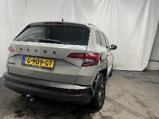 Skoda Karoq Karoq SUV 1.5 TSI 16V (DXDB) [110kW]  (07-2017/...) picture 5