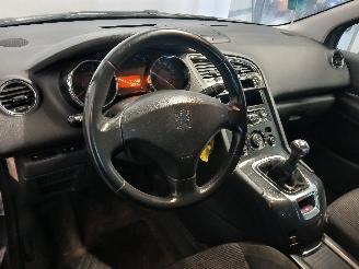 Peugeot 5008 5008 I (0A/0E) MPV 1.6 VTI 16V (EP6C(5FS)) [88kW]  (09-2009/03-2017) picture 13