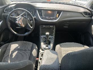Opel Grandland Grandland (X) SUV 1.2 Turbo 12V (F12XHT(EB2ADTS)) [96kW]  (06-2017/...=
) picture 16