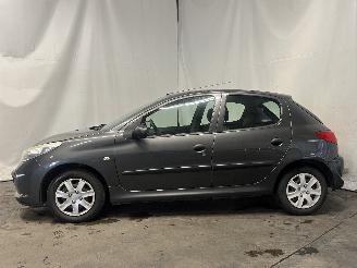 Peugeot 206+ 206+ (2L/M) Hatchback 1.1 XR,XS (TU1JP(HFV)) [44kW]  (01-2009/06-2013)= picture 4