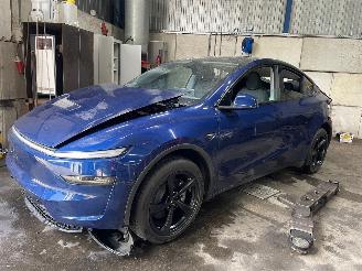 Sloopauto Tesla  Model Y SUV RWD 58 kWh, Long Range RWD 75 kWh (4D3) [220kW]  (01-2025/=
=2E..) 2025/6