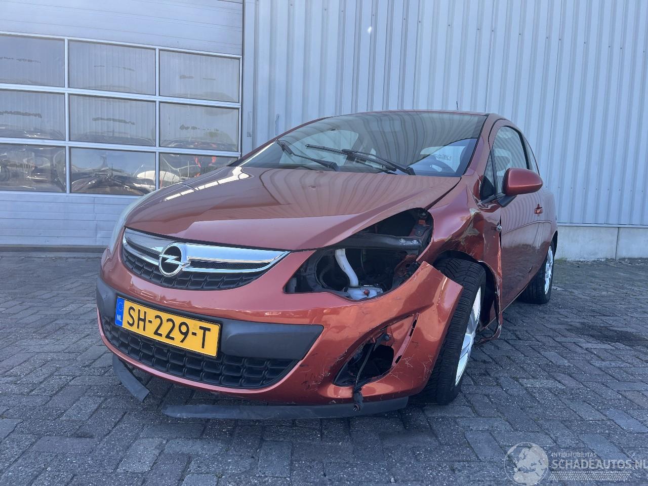 Opel Corsa Corsa D Hatchback 1.2 16V (A12XER(Euro 5)) [63kW]  (12-2009/08-2014)
