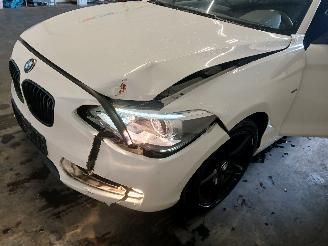 BMW 1-serie 1 serie (F20) Hatchback 5-drs 116i 1.6 16V (N13-B16A) [100kW]  (07-201=
1/02-2015) picture 23