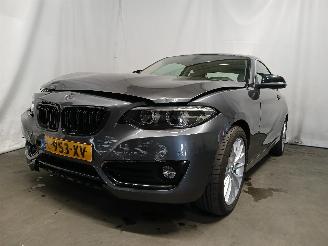Damaged car BMW 2-serie 2 serie (F22) Coupé 218i 1.5 TwinPower Turbo 12V (B38-B15A) [100kW] =
 (03-2015/06-2021) 2018/5