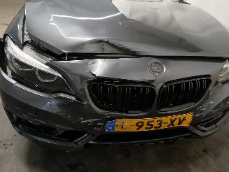 BMW 2-serie 2 serie (F22) Coupé 218i 1.5 TwinPower Turbo 12V (B38-B15A) [100kW] =
 (03-2015/06-2021) picture 27