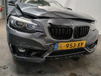 BMW 2-serie 2 serie (F22) Coupé 218i 1.5 TwinPower Turbo 12V (B38-B15A) [100kW] =
 (03-2015/06-2021) picture 28