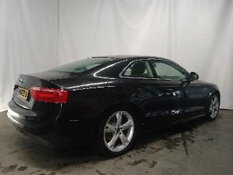 Audi A5 A5 (8T3) Coupé 1.8 TFSI 16V (CABD(Euro 4)) [125kW]  (10-2007/01-2017=
) picture 6