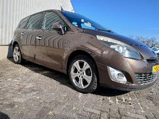 Renault Scenic Grand Scénic III (JZ) MPV 1.4 16V TCe 130 (H4J-700(H4J-A7)) [96kW]  =
(02-2009/12-2016) picture 6