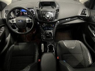 Ford Kuga Kuga II (DM2) SUV 1.5 EcoBoost 16V 150 (M8MA) [110kW]  (09-2014/06-201=
9) picture 12