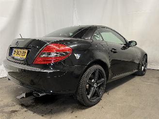Mercedes SLK SLK (R171) Cabrio 3.5 350 V6 24V (M272.963) [200kW]  (06-2004/02-2011)= picture 6