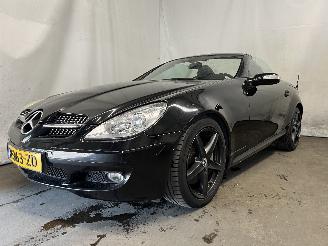 Mercedes SLK SLK (R171) Cabrio 3.5 350 V6 24V (M272.963) [200kW]  (06-2004/02-2011)= picture 3