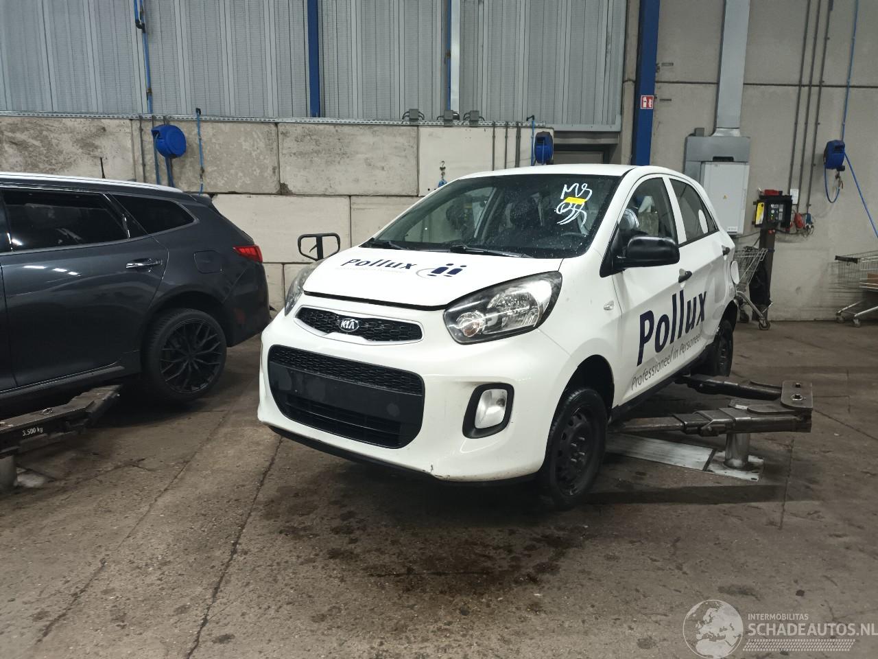 Kia Picanto Picanto (TA) Hatchback 1.0 12V (G3LA) [49kW]  (05-2011/06-2017)