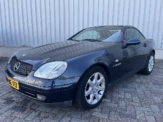 Mercedes SLK SLK (R170) Cabrio 2.3 230 K 16V (M111.973) [142kW]  (09-1996/03-2000) picture 3