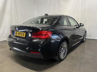 BMW 2-serie 2 serie (F22) Coupé 218i 1.5 TwinPower Turbo 12V (B38-B15A) [100kW] =
 (03-2015/06-2021) picture 6