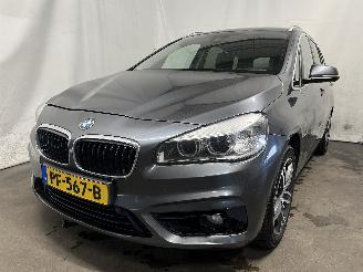 krockskadad bil auto BMW 2-serie 2 serie Gran Tourer (F46) MPV 218i 1.5 TwinPower Turbo 12V (B38-A15A) =
[100kW]  (03-2015/...) 2016/7