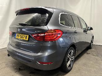 BMW 2-serie 2 serie Gran Tourer (F46) MPV 218i 1.5 TwinPower Turbo 12V (B38-A15A) =
[100kW]  (03-2015/...) picture 5
