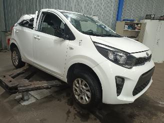 Kia Picanto Picanto (JA) Hatchback 1.0 12V (G3LA) [49kW]  (03-2017/...) picture 2