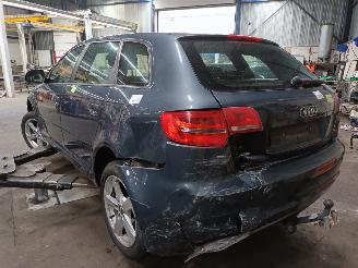 Audi A3 A3 Sportback (8PA) Hatchback 5-drs 1.6 (BSE) [75kW]  (09-2004/03-2013)= picture 4