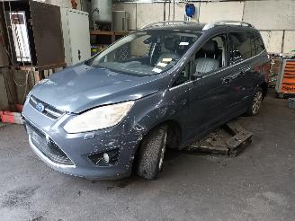demontáž osobní automobily Ford Grand C-Max Grand C-Max (DXA) MPV 2.0 TDCi 16V (TXDB(Euro 5)) [120kW]  (12-2010/06=
-2019) 2012/7