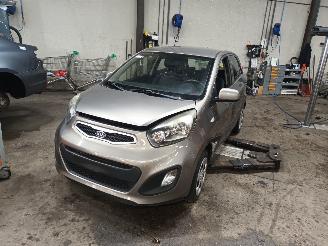 Vrakbiler auto Kia Picanto Picanto (TA) Hatchback 1.0 12V (G3LA) [51kW]  (05-2011/06-2017) 2011/8